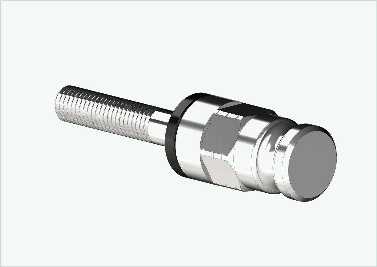 Adaptateur pour moyeux à vitesses intégrées Enviolo à partir de 2024 | convient pour Leggero avec système BECCO
